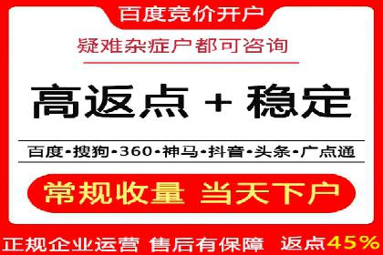 某某sem代运营公司：精准投放的背后策略